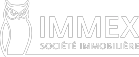 Immex Logo